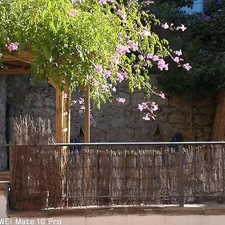 Appartement avec Jardin privatif centre ville Hyères Extérieur photo